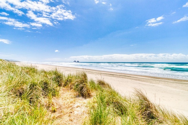 Park Place Main image